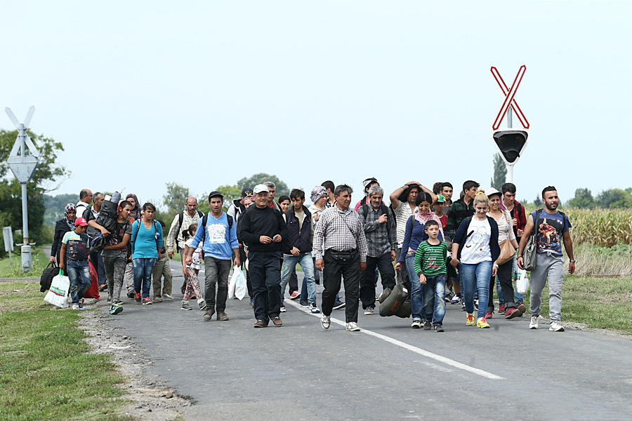 Migrants